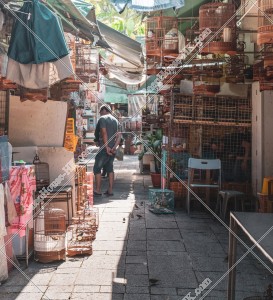 園圃街雀鳥花園 鳥籠 其之一