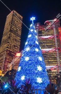 中環高樓大廈群和聖誕樹的夜景 其之一