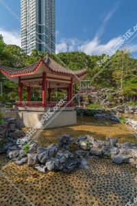 觀塘 康寧道公園的景色 其之五