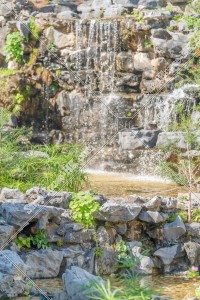 觀塘 康寧道公園的景色 其之七